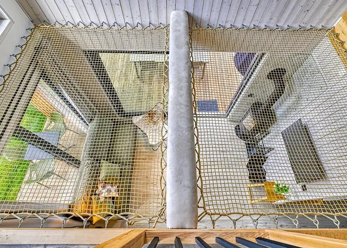 Slowmood - Z Sauna I Jacuzzi, Sun & Snow Подгужин